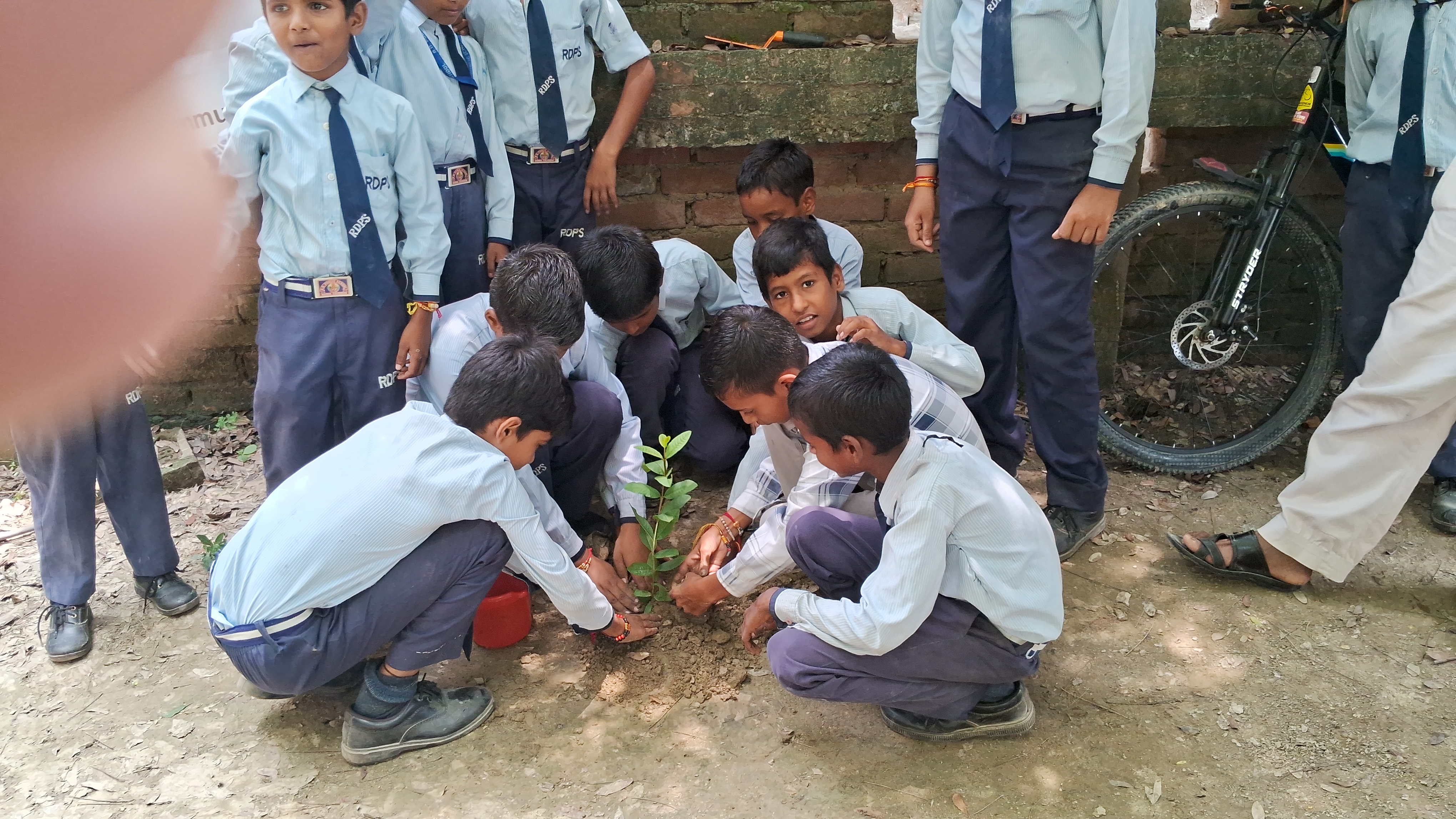 Environment Day tree plantation drive