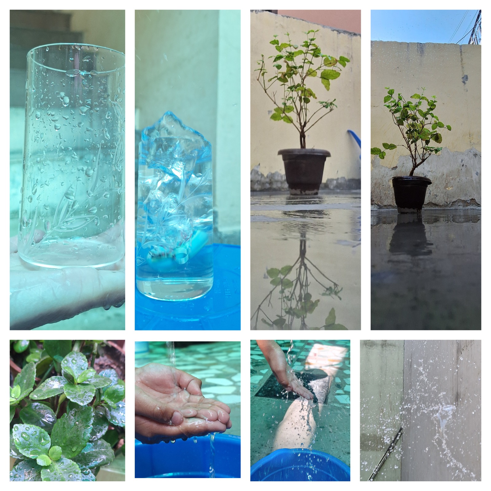 World Water Day