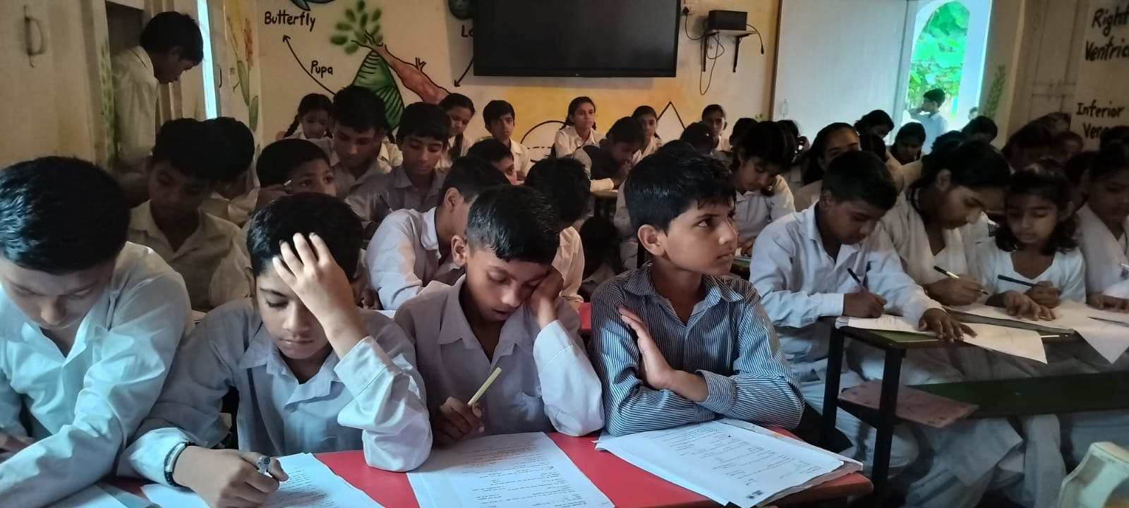 Students filling pre-assessment questionnaires