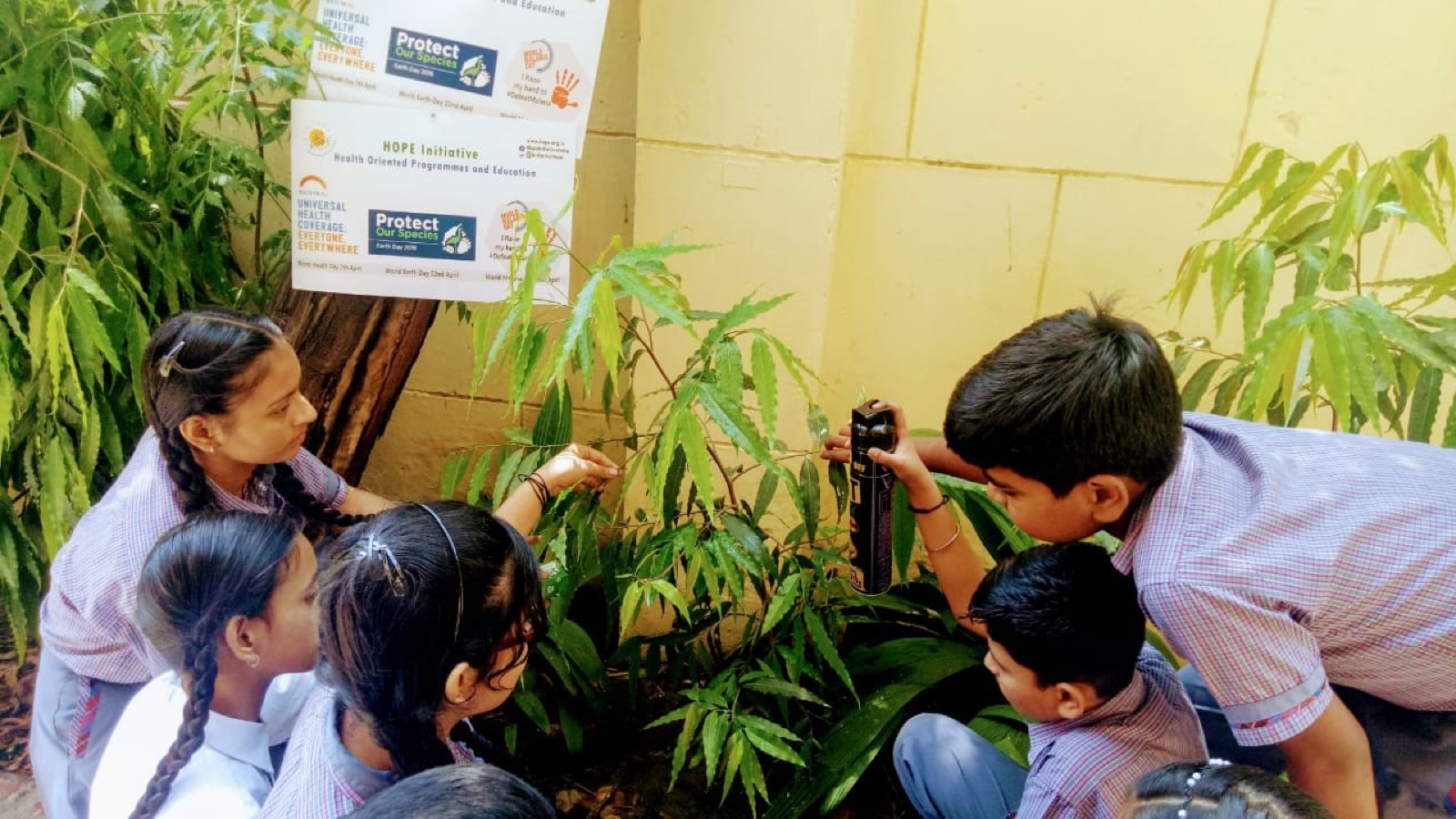 Practical session by spraying mosquito repellent