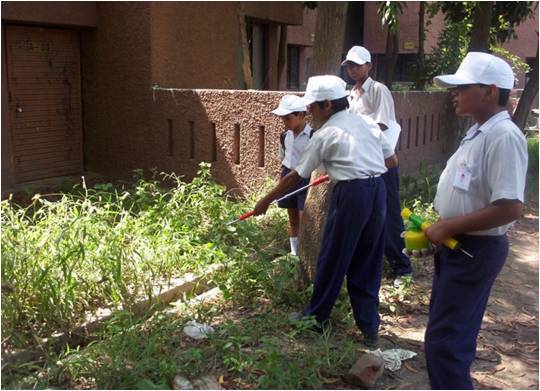 Mosquito-Borne Disease Awareness Program