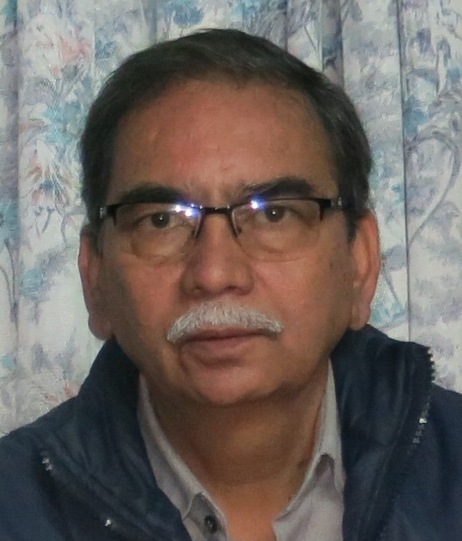 Mr. Naveen Joshi